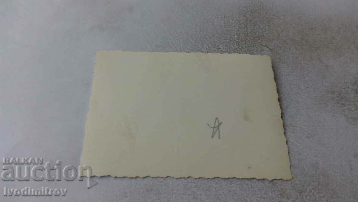 Photo Boys and girls on the lawn with price 1.35 BGN | € 0.69 Photo Boys and girls on the lawn with price 1.35 BGN | € 0.69