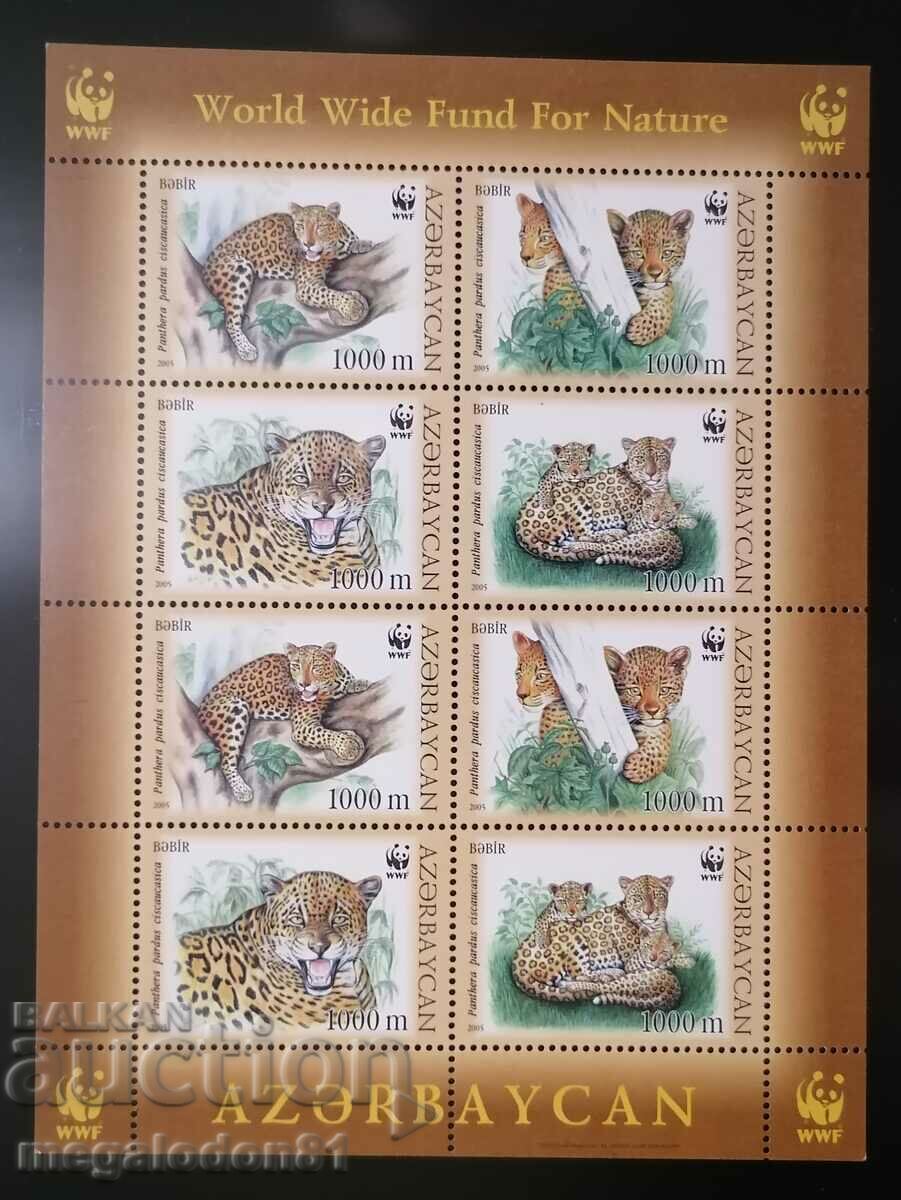 Azerbaijan - fauna WWF, leopard