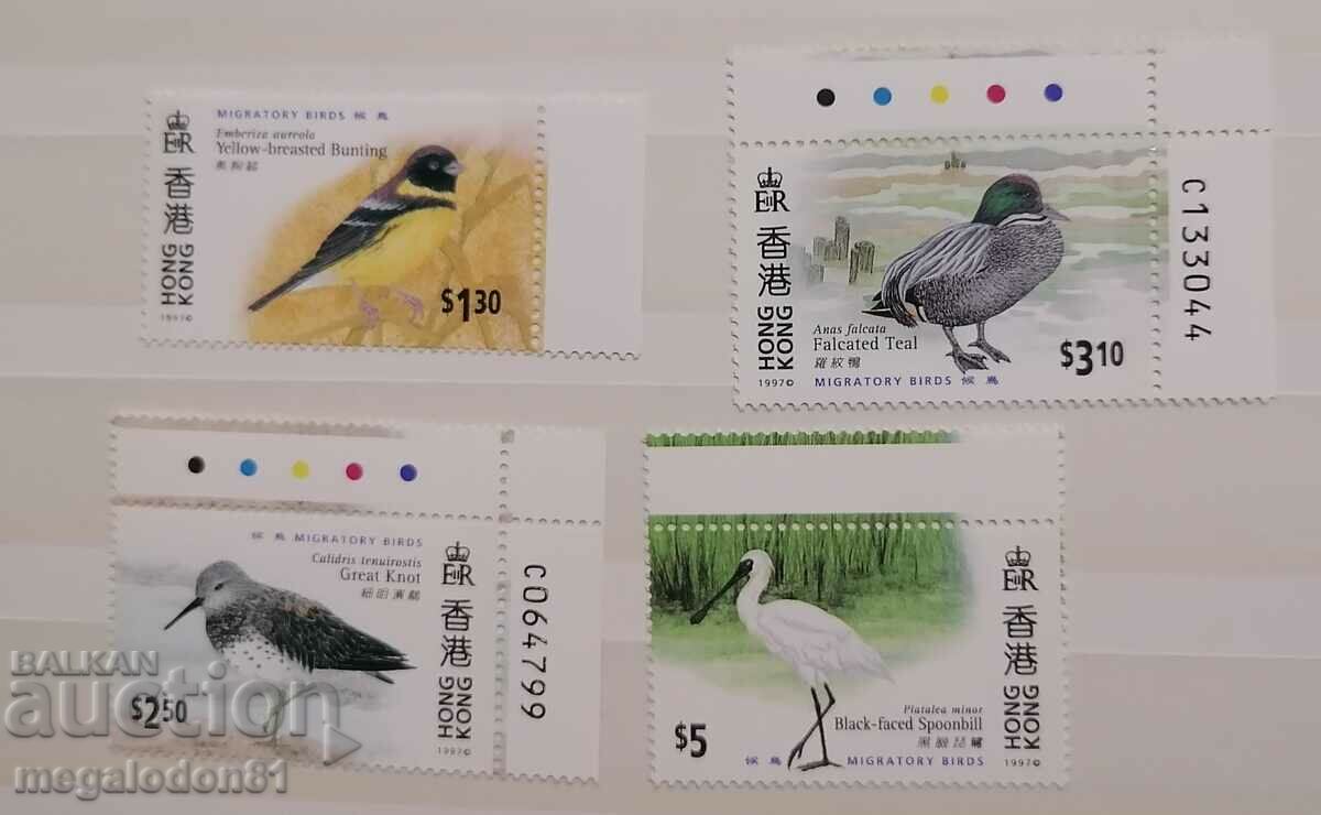 Χονγκ Κονγκ - Αποδημητικά πουλιά