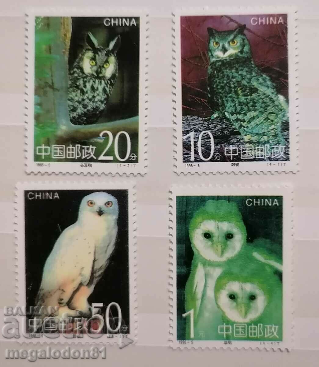 Китай - нощни грабливи птици