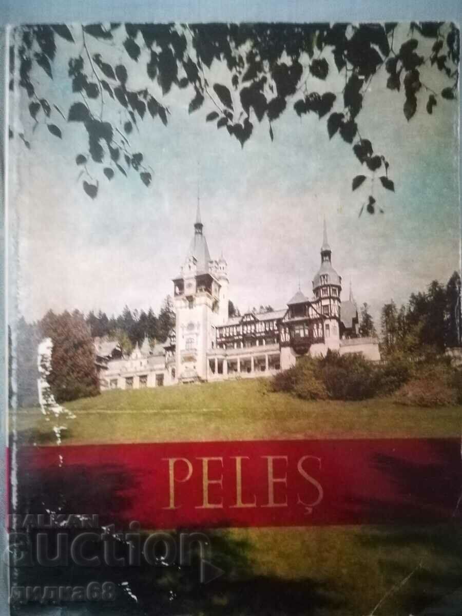 Castelul Peleş / Peleş Castle