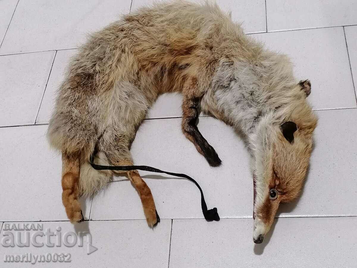 Guler blana de vulpe pentru haina de dama cu preț 65.00 BGN | € 33.23