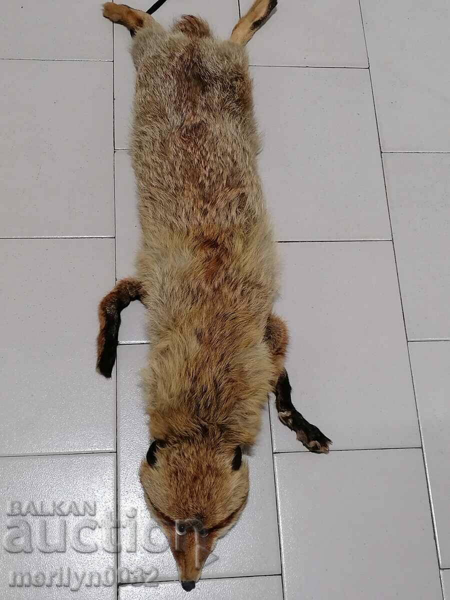 Livrarea Guler blana de vulpe pentru haina de dama