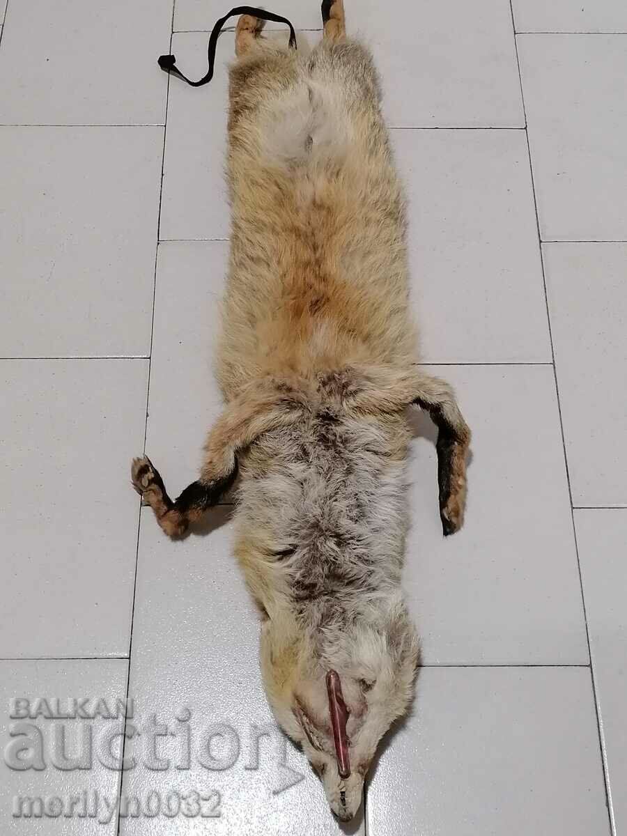 Guler blana de vulpe pentru haina de dama - 5