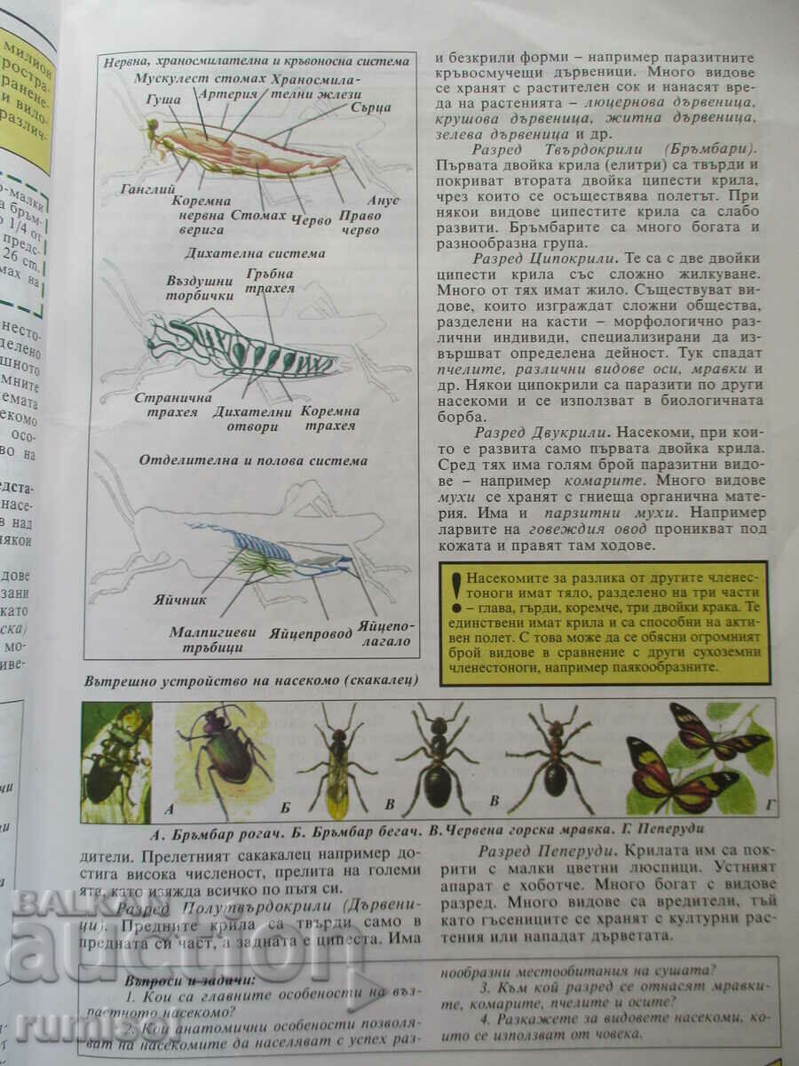 Biology - 7th grade, Anubis - L. Naydenova - 6 Biology - 7th grade, Anubis - L. Naydenova - 6