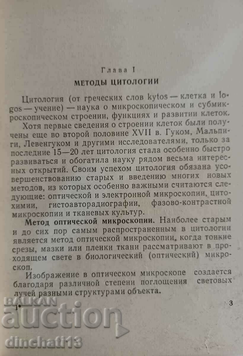 Auction Structure and functions of cells: E. A. Shubnikova Auction Structure and functions of cells: E. A. Shubnikova