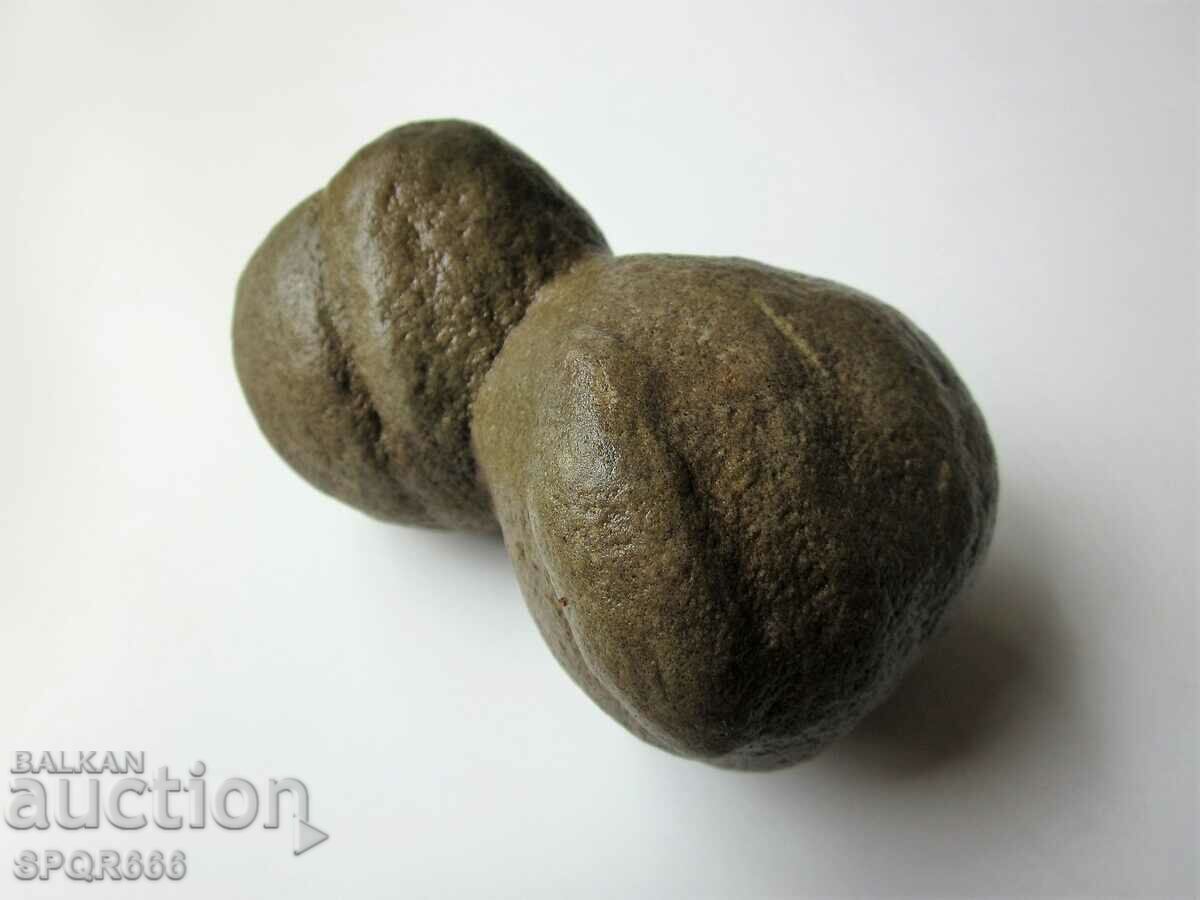 BEAUTIFUL AND RARE DOUBLE FOSSIL with price 30.00 BGN | € 15.34 BEAUTIFUL AND RARE DOUBLE FOSSIL with price 30.00 BGN | € 15.34