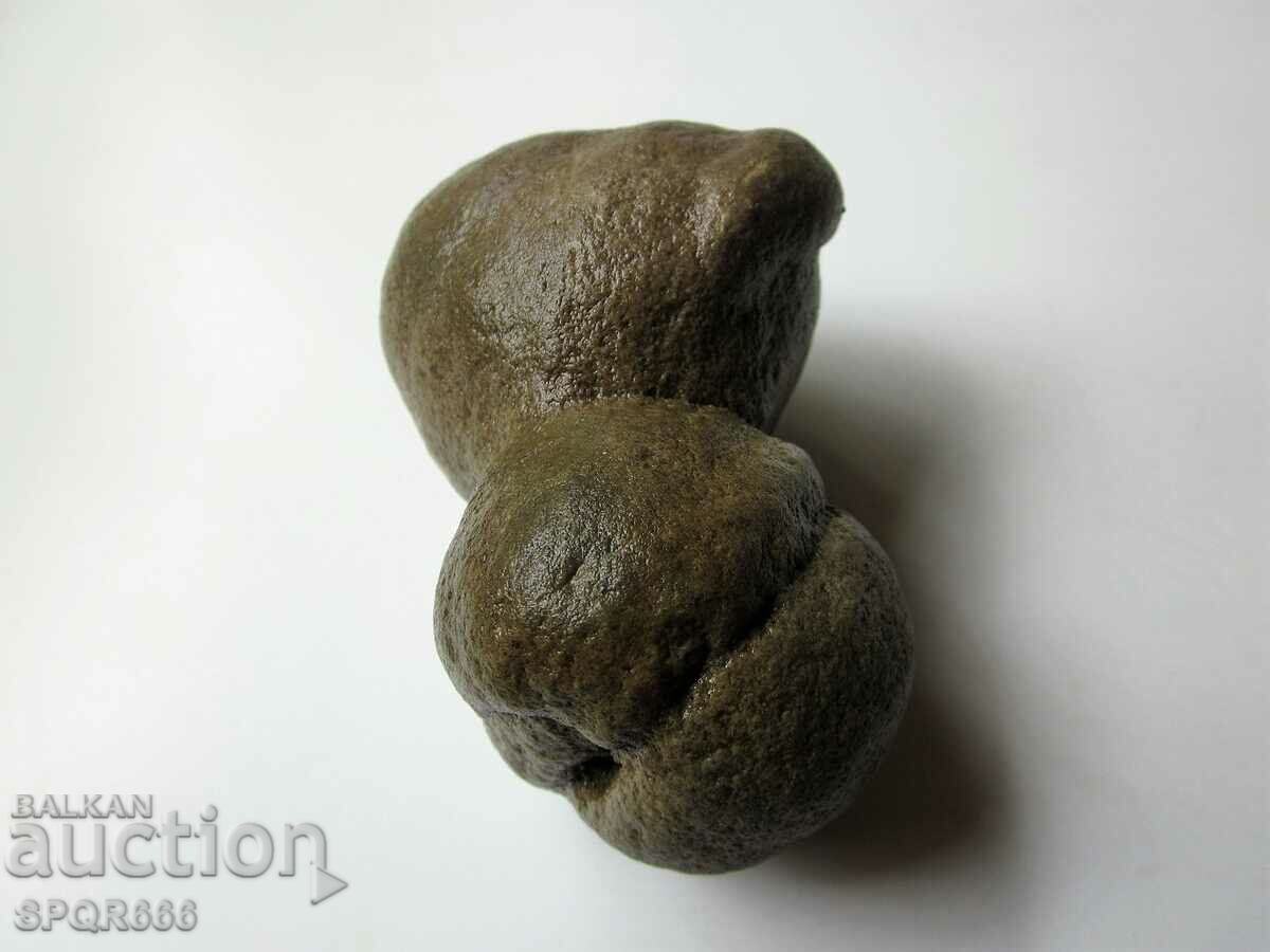 Delivery of BEAUTIFUL AND RARE DOUBLE FOSSIL Delivery of BEAUTIFUL AND RARE DOUBLE FOSSIL