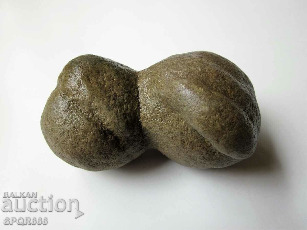 BEAUTIFUL AND RARE DOUBLE FOSSIL - 5 BEAUTIFUL AND RARE DOUBLE FOSSIL - 5