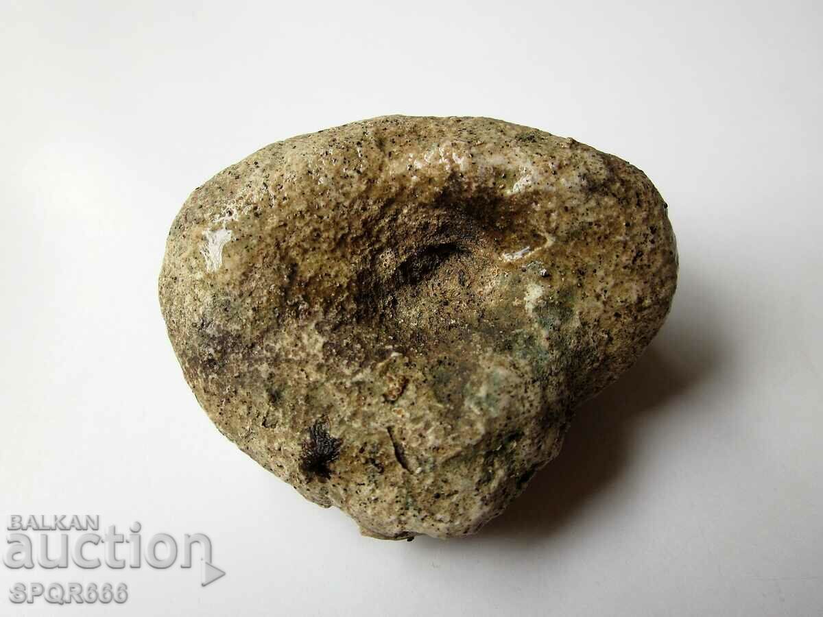 Delivery of BEAUTIFUL RARE FOSSIL