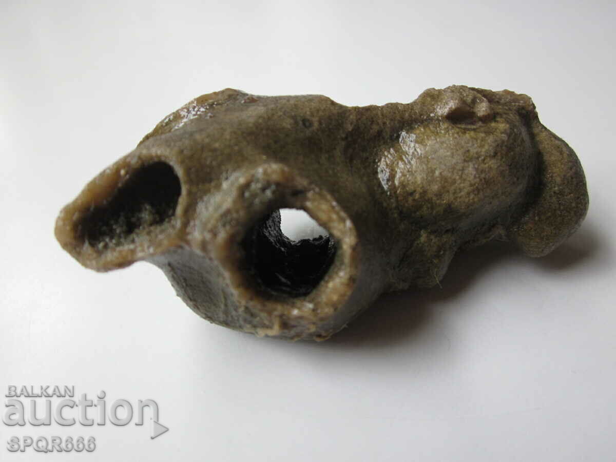 Auction VERY BEAUTIFUL RARE FOSSIL - MARINE TUBEWORM Auction VERY BEAUTIFUL RARE FOSSIL - MARINE TUBEWORM