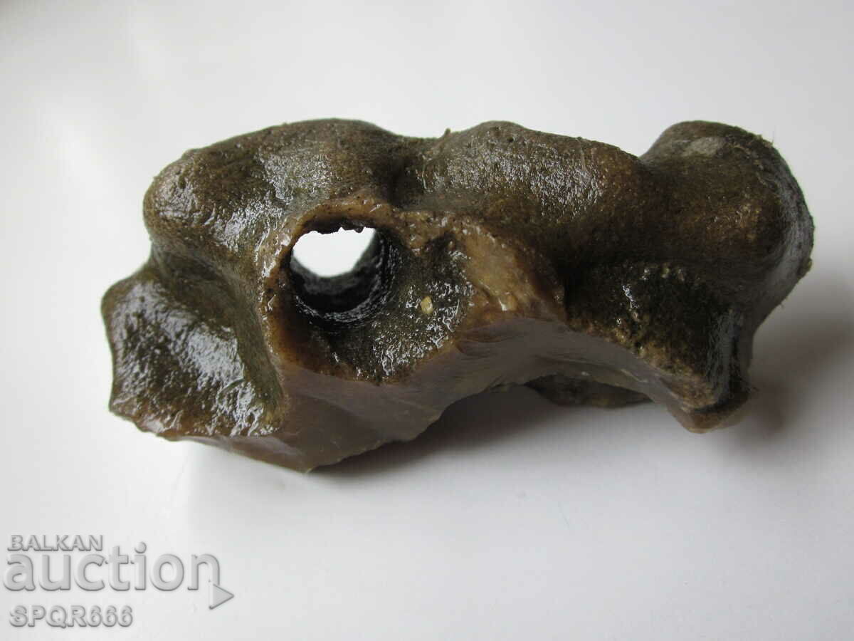 VERY BEAUTIFUL RARE FOSSIL - MARINE TUBEWORM - 6 VERY BEAUTIFUL RARE FOSSIL - MARINE TUBEWORM - 6