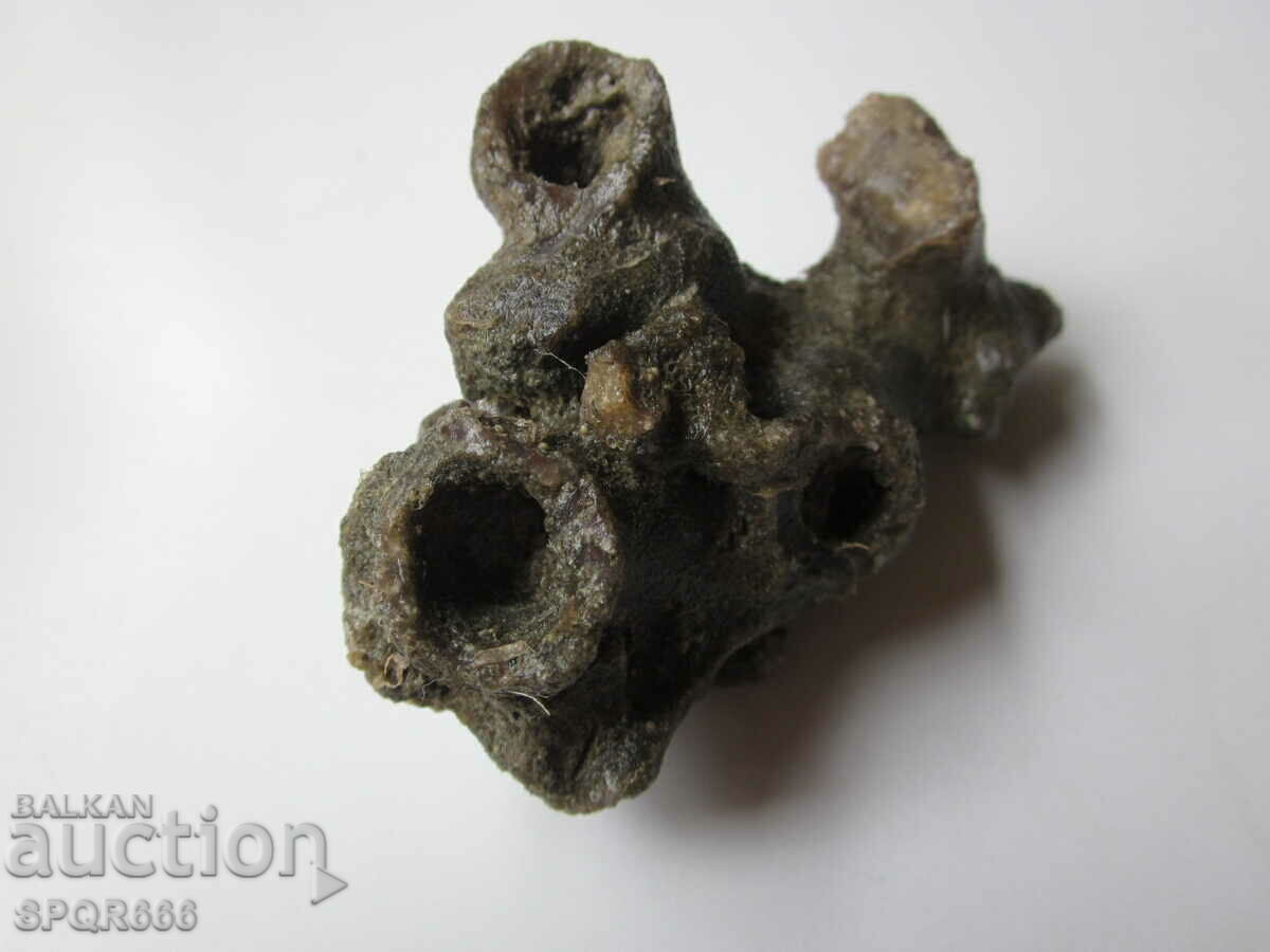 ΠΟΛΥ ΟΜΟΡΦΟΣ ΣΠΑΝΙΟ ΑΠΟΛΥΘΩΜΕΝΟ - ΘΑΛΑΣΣΙΟ ΣΩΛΗΝΟΥΡΓΟΣ με τιμή 20.00 BGN | € 10.23