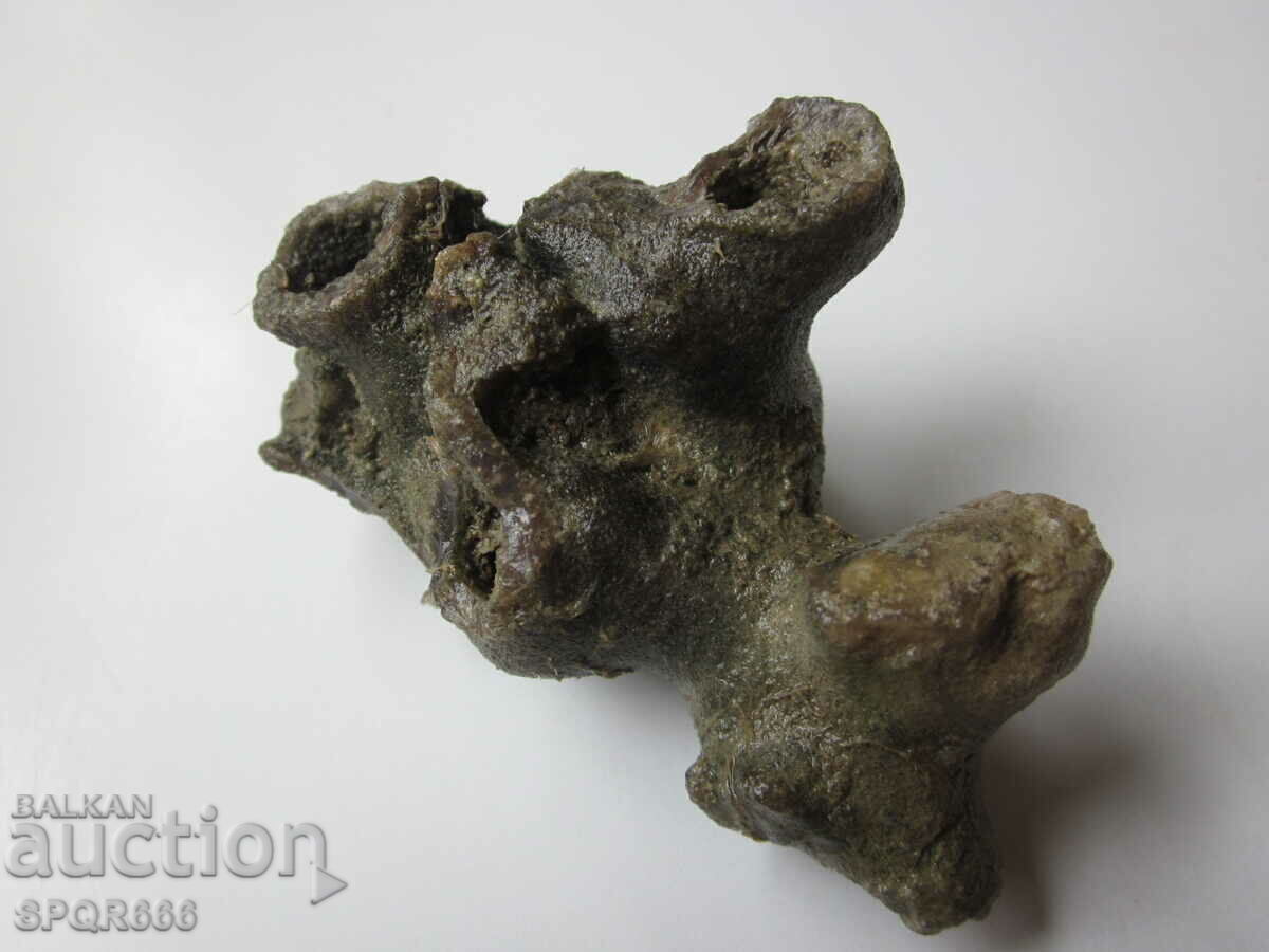 Δημοπρασία ΠΟΛΥ ΟΜΟΡΦΟΣ ΣΠΑΝΙΟ ΑΠΟΛΥΘΩΜΕΝΟ - ΘΑΛΑΣΣΙΟ ΣΩΛΗΝΟΥΡΓΟΣ