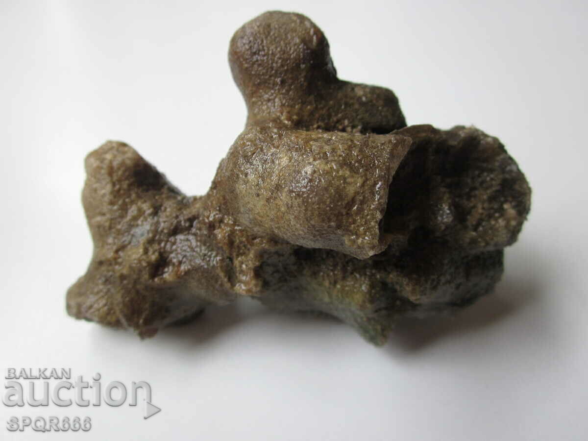 ΠΟΛΥ ΟΜΟΡΦΟΣ ΣΠΑΝΙΟ ΑΠΟΛΥΘΩΜΕΝΟ - ΘΑΛΑΣΣΙΟ ΣΩΛΗΝΟΥΡΓΟΣ - 5