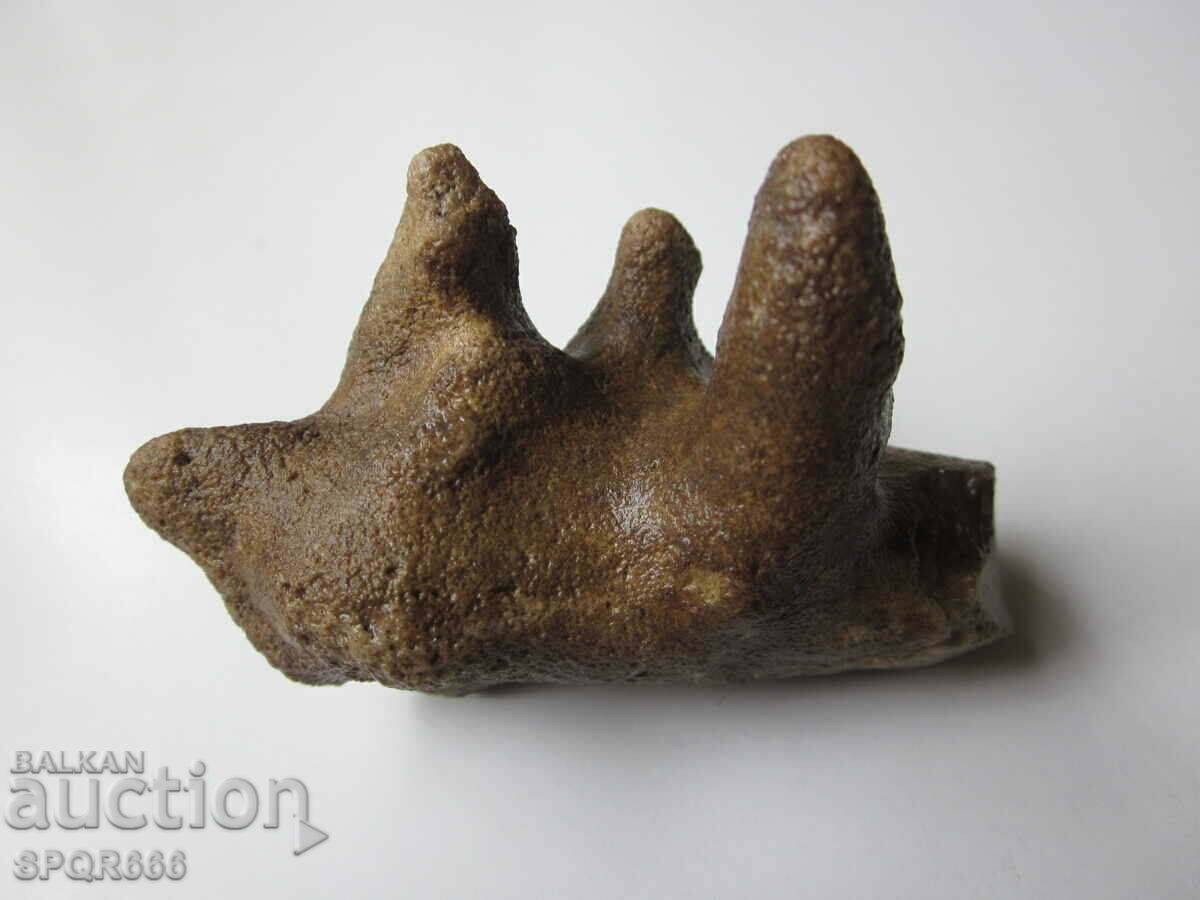 VERY INTERESTING NATURAL - STONE - 6 VERY INTERESTING NATURAL - STONE - 6