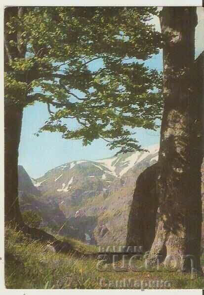 Card Bulgaria Kalofer Peak "Botev" 2*