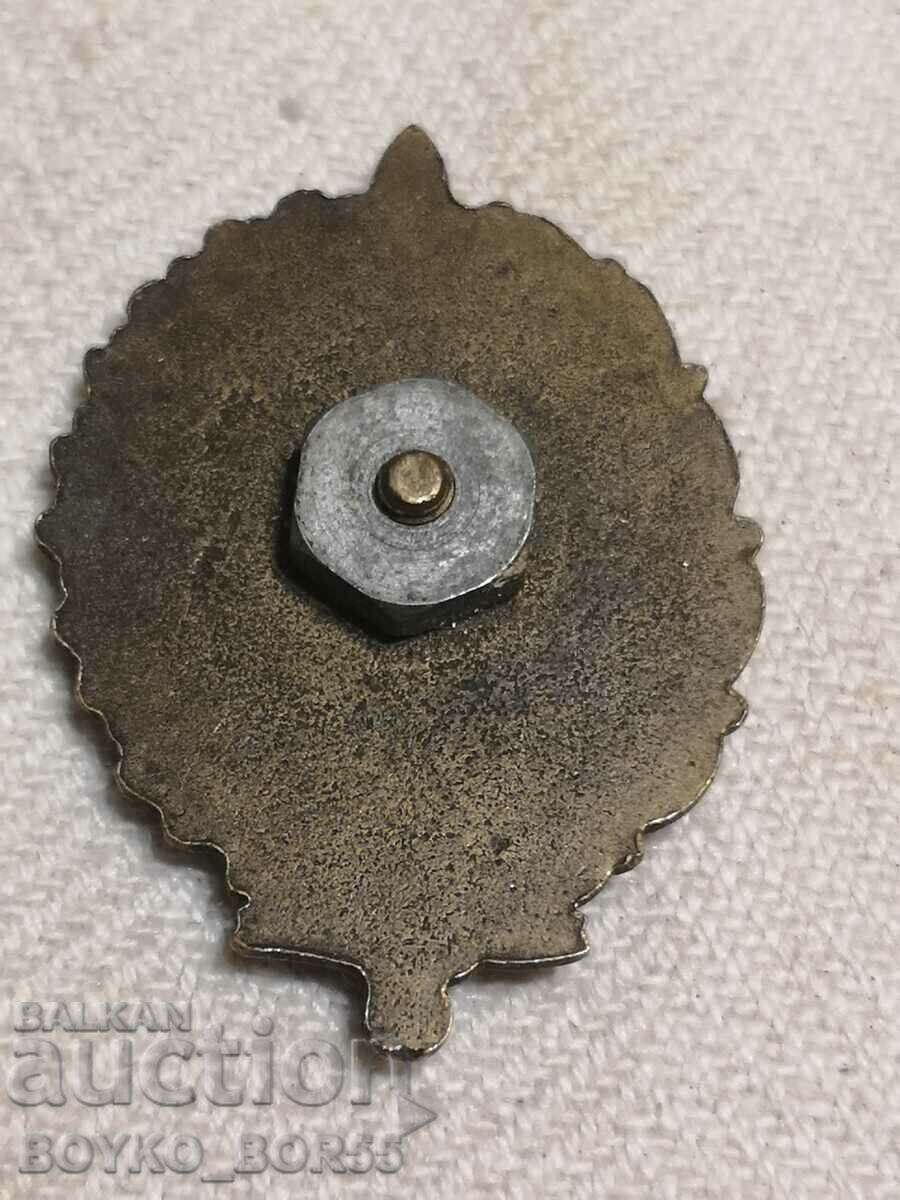 Стар Български Военен Бронзов Нагръден Знак ВВ с цена 29.00 лв. | € 14.83 Стар Български Военен Бронзов Нагръден Знак ВВ с цена 29.00 лв. | € 14.83