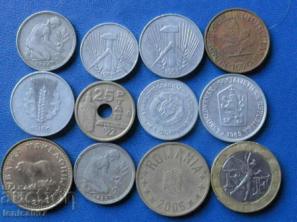 Coins (12 pieces)