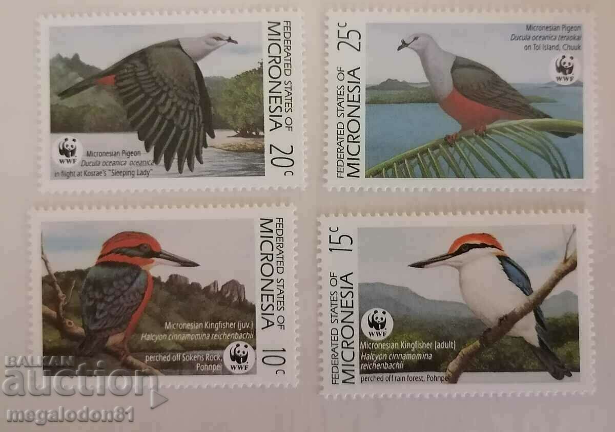 Micronezia - faună, păsări
