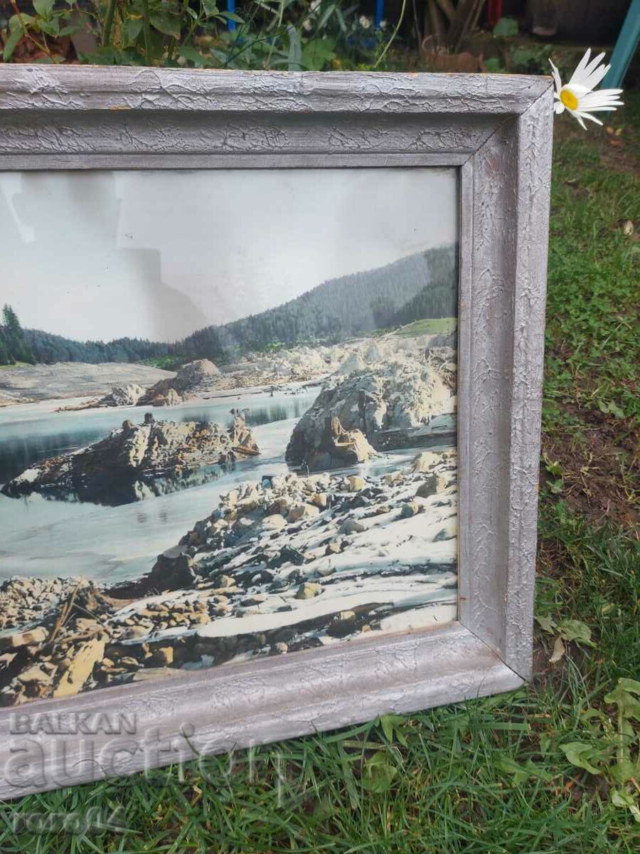 Auction  PICTURE