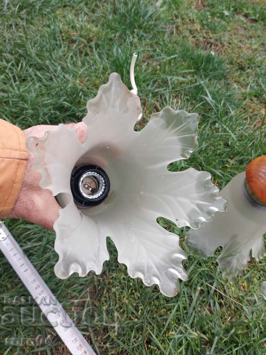 POLLUEY - REMAINS - SUITABLE FOR USE - 5 POLLUEY - REMAINS - SUITABLE FOR USE - 5