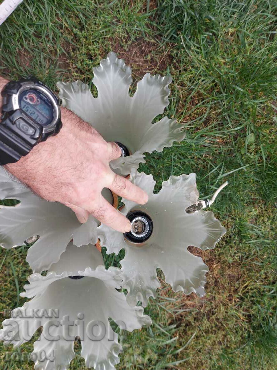 POLLUEY - REMAINS - SUITABLE FOR USE - 7 POLLUEY - REMAINS - SUITABLE FOR USE - 7