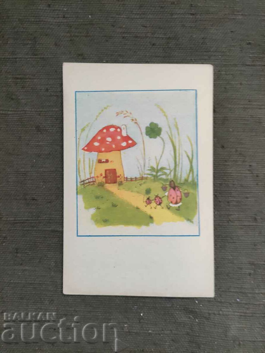 A mushroom. Nicholas Iv. Bozhinov