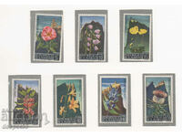 1967. Άγιος Μαρίνος. Λουλούδια.