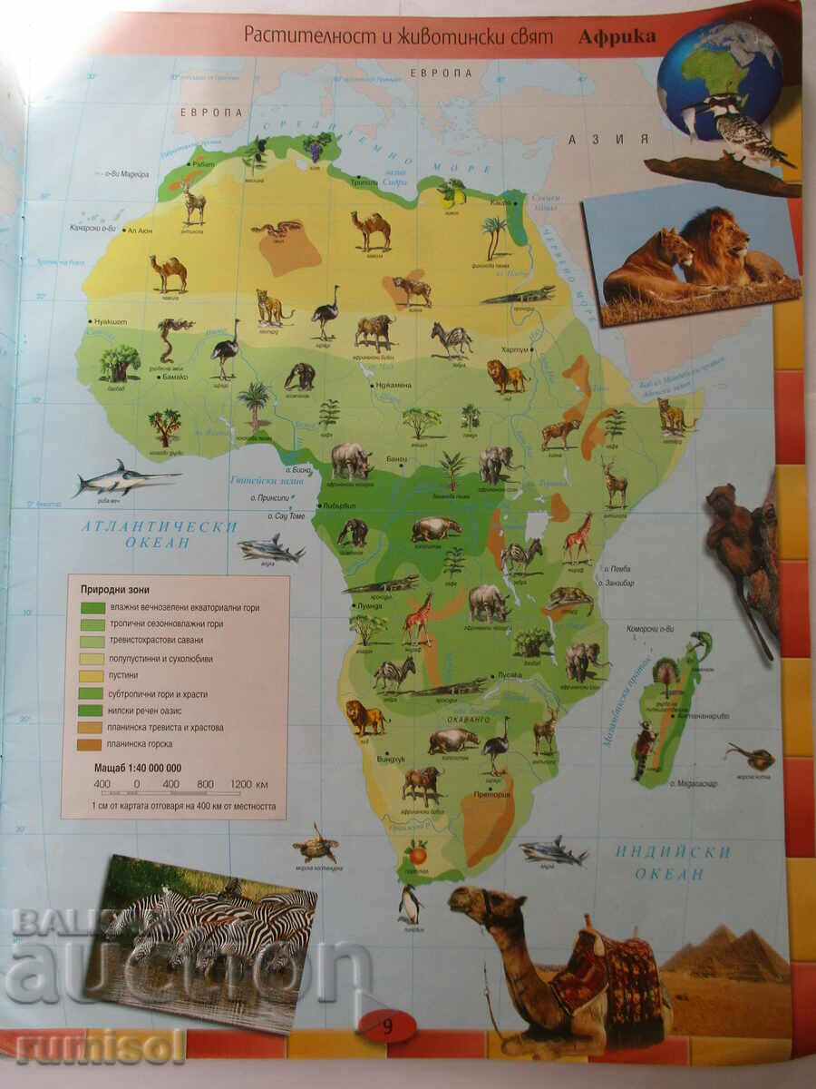 Auction Atlas of geography and economics - 6-7 kl, Datamap Auction Atlas of geography and economics - 6-7 kl, Datamap