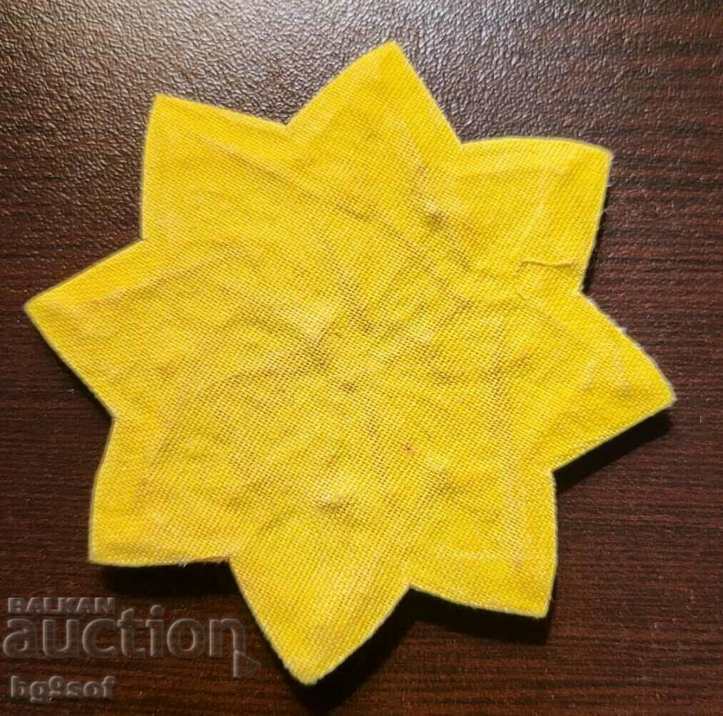 Delivery of BOW embroidered gown star Delivery of BOW embroidered gown star