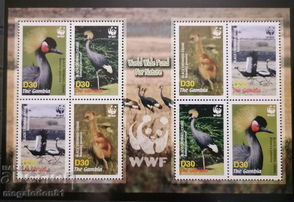 Gambia - WWF, crane