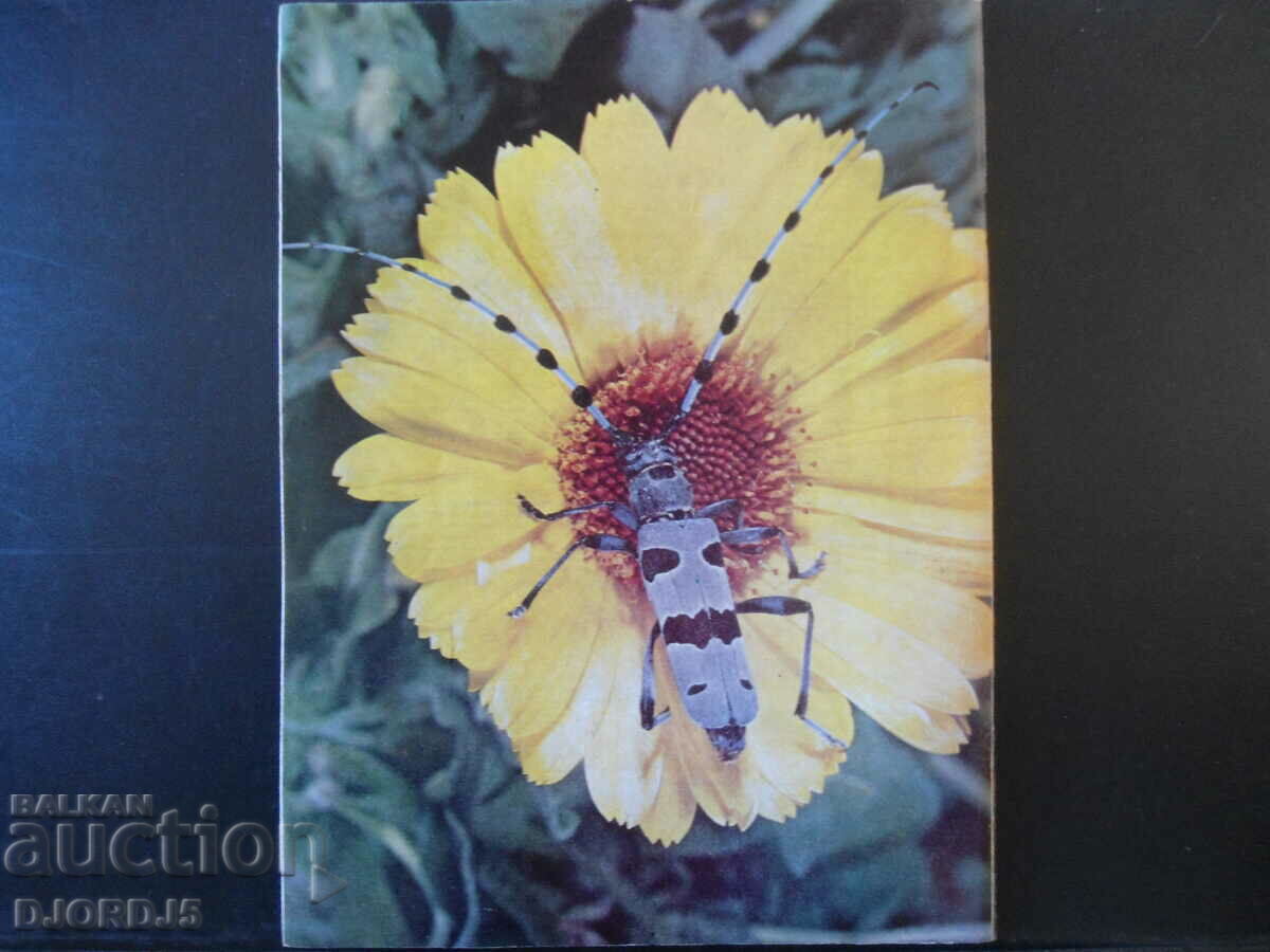 Cosmos magazine, issue 2, 1979. with price 2.50 BGN | € 1.28 Cosmos magazine, issue 2, 1979. with price 2.50 BGN | € 1.28