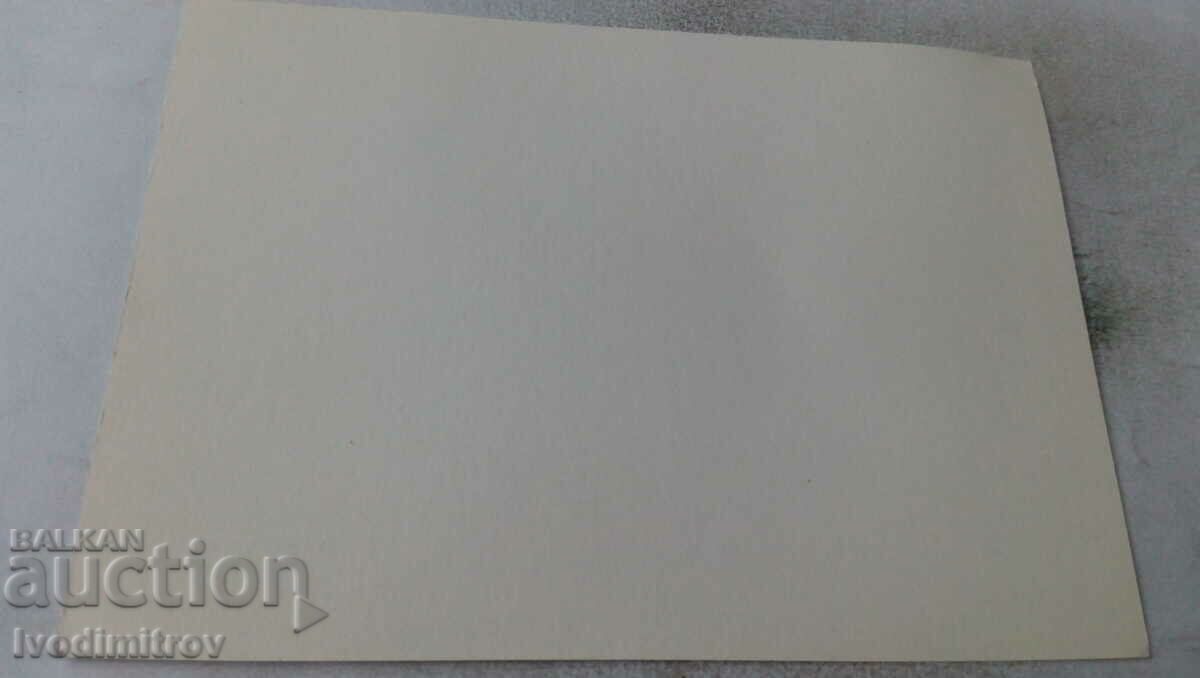 Postcard Veliko Tarnovo Collage with price 0.55 BGN | € 0.28 Postcard Veliko Tarnovo Collage with price 0.55 BGN | € 0.28