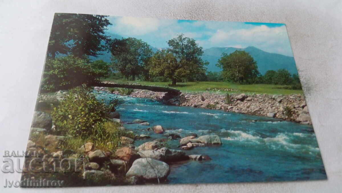 Пощенска картичка Вършец Из околностите 1981