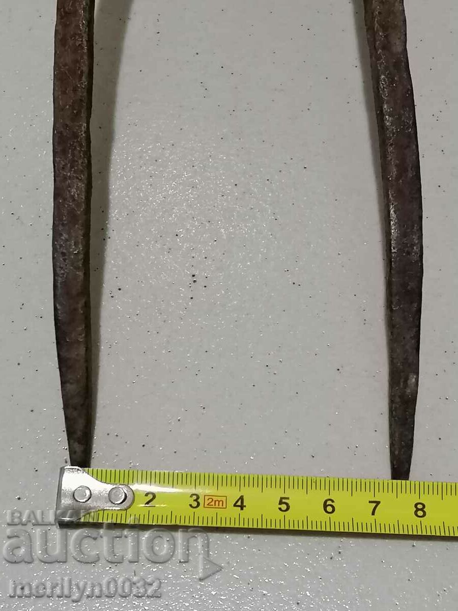 Double tooth, beet harvester, wrought iron - 5 Double tooth, beet harvester, wrought iron - 5