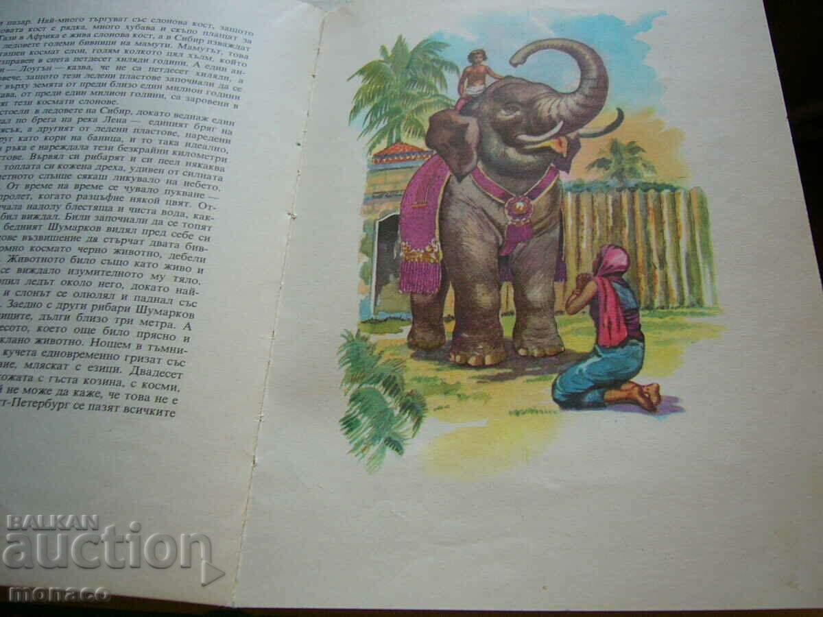 Old book - Jose Marti, Golden Age - 5 Old book - Jose Marti, Golden Age - 5