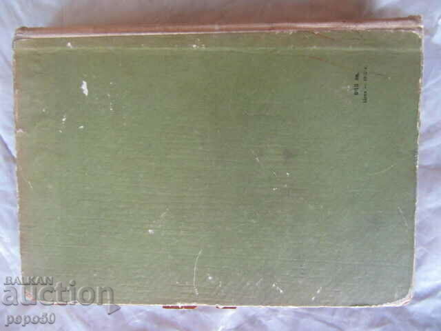 ALLIES AGAINST DEATH - Svetoslav Slavchev - 6 ALLIES AGAINST DEATH - Svetoslav Slavchev - 6