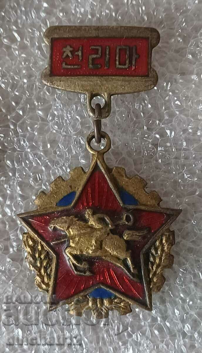 Rare North Korean medal. North Korea