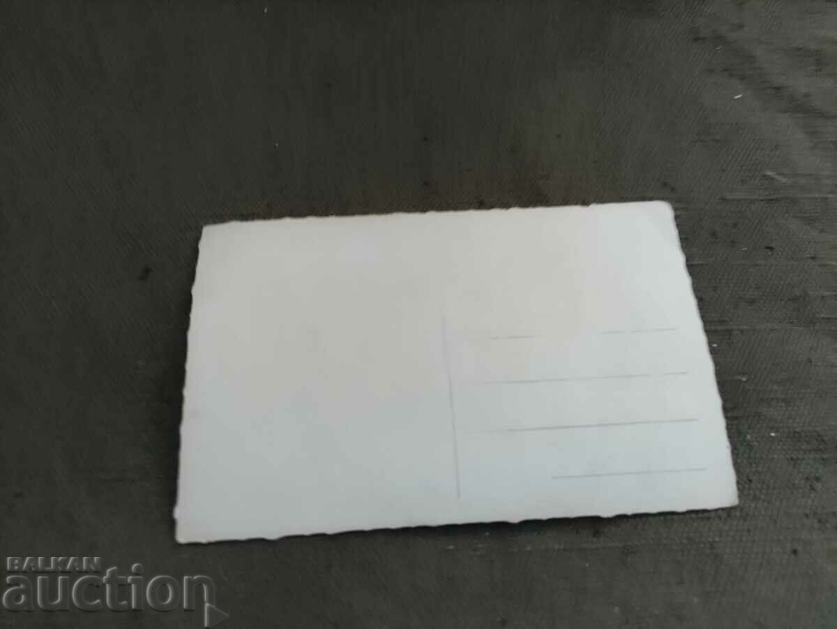 Dupnitsa - General view with Rila with price 20.00 BGN | € 10.23 Dupnitsa - General view with Rila with price 20.00 BGN | € 10.23