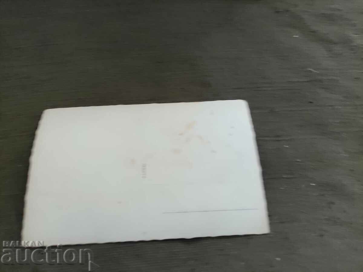 Dupnitsa - City garden with price 20.00 BGN | € 10.23 Dupnitsa - City garden with price 20.00 BGN | € 10.23