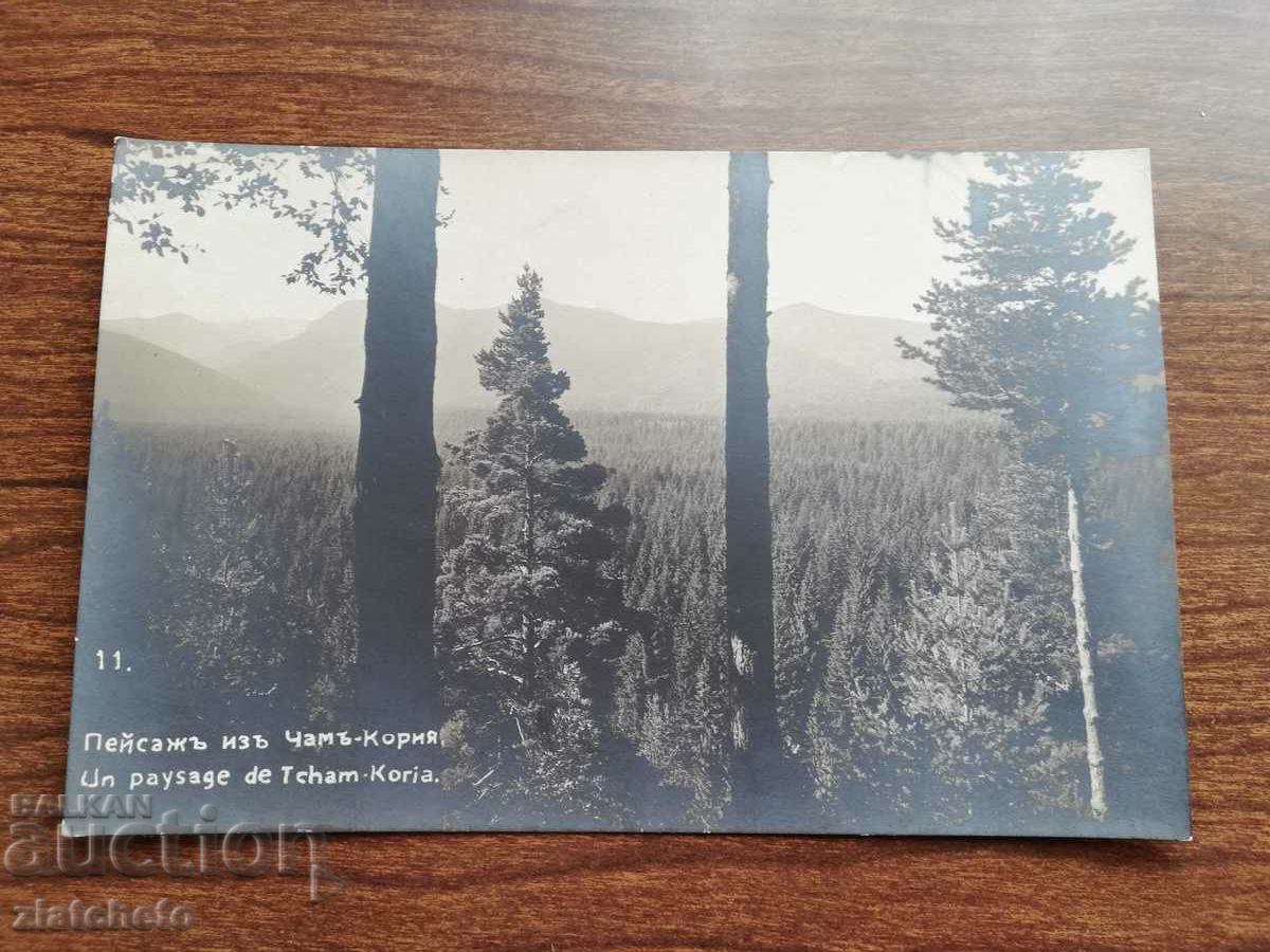 Postcard Kingdom of Bulgaria - Cham-Korya with price 12.00 BGN | € 6.14 Postcard Kingdom of Bulgaria - Cham-Korya with price 12.00 BGN | € 6.14