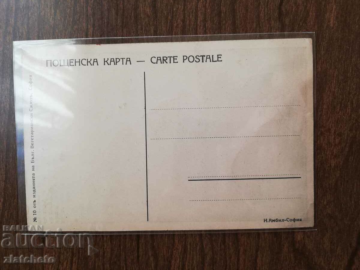 Postcard Kingdom of Bulgaria - Leo Tolstoy with price 10.00 BGN | € 5.11 Postcard Kingdom of Bulgaria - Leo Tolstoy with price 10.00 BGN | € 5.11