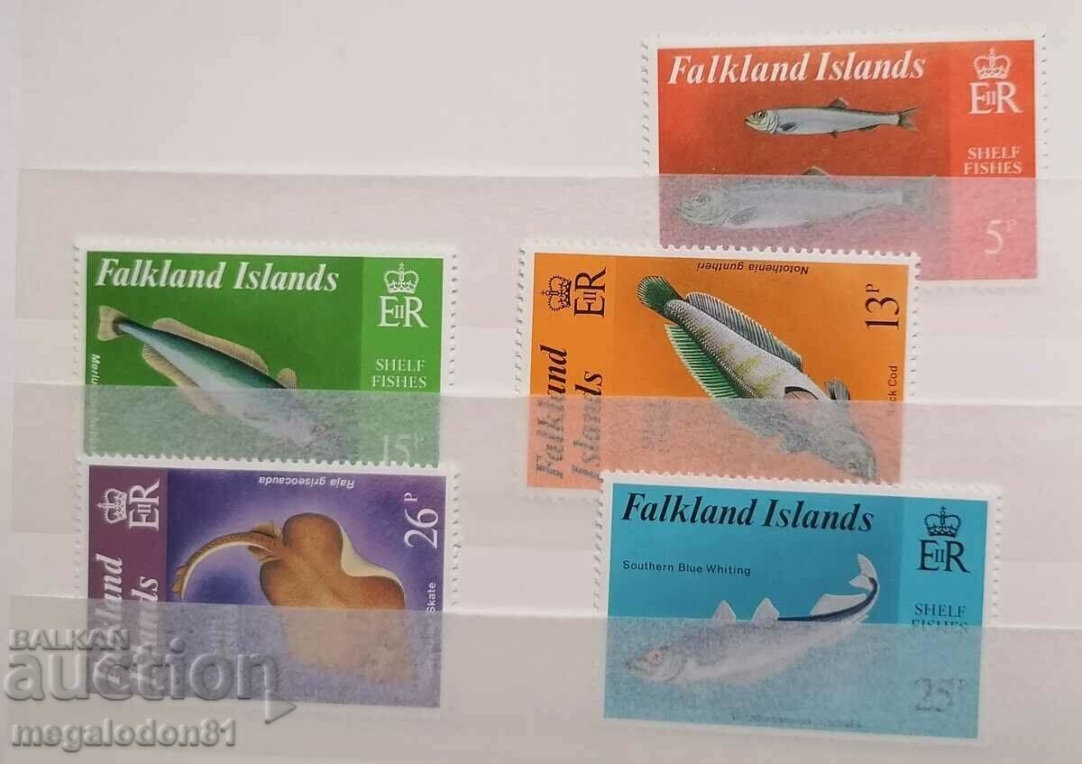 Insulele Falkland - fauna oceanică