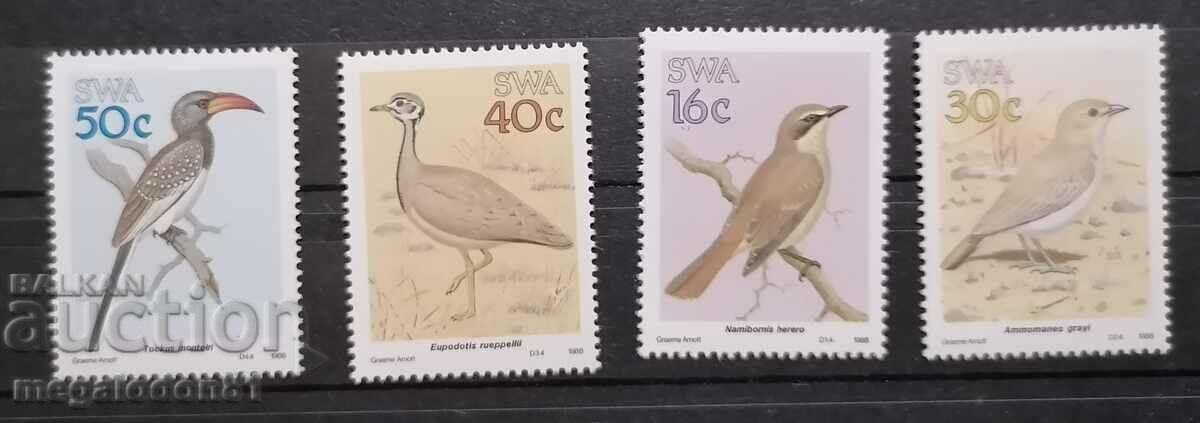 Νότια Αφρική - πουλιά