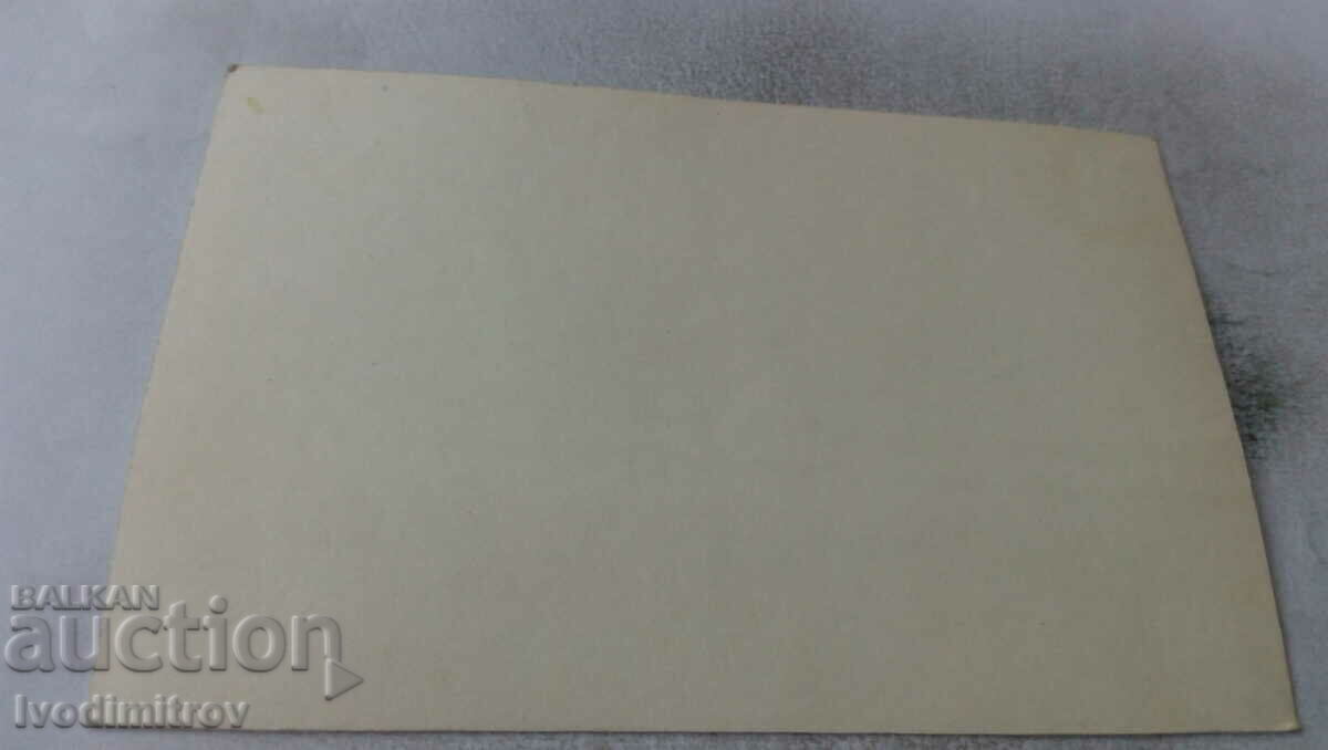 Photo Young men and young women in front of a large bungalow with price 1.35 BGN | € 0.69