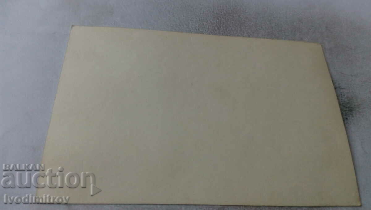 Photo Young men and young women in front of a large tent with price 1.35 BGN | € 0.69 Photo Young men and young women in front of a large tent with price 1.35 BGN | € 0.69