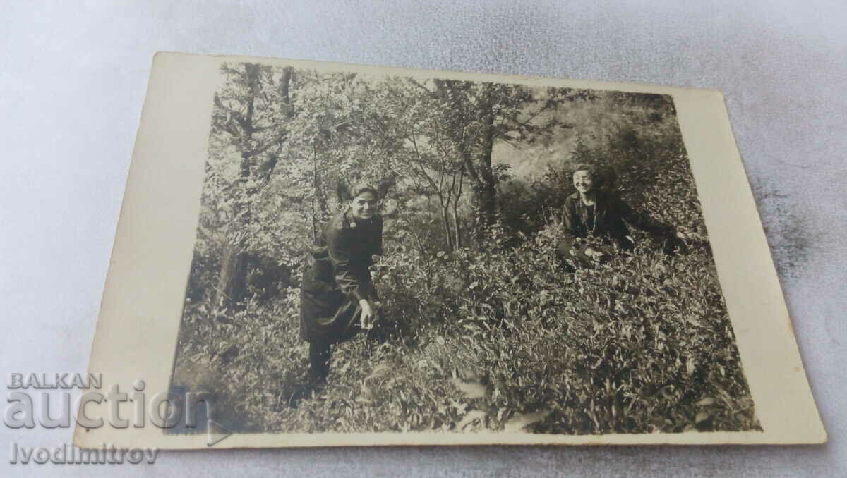 Снимка Калтинецъ Две млади момичета в гората 1930