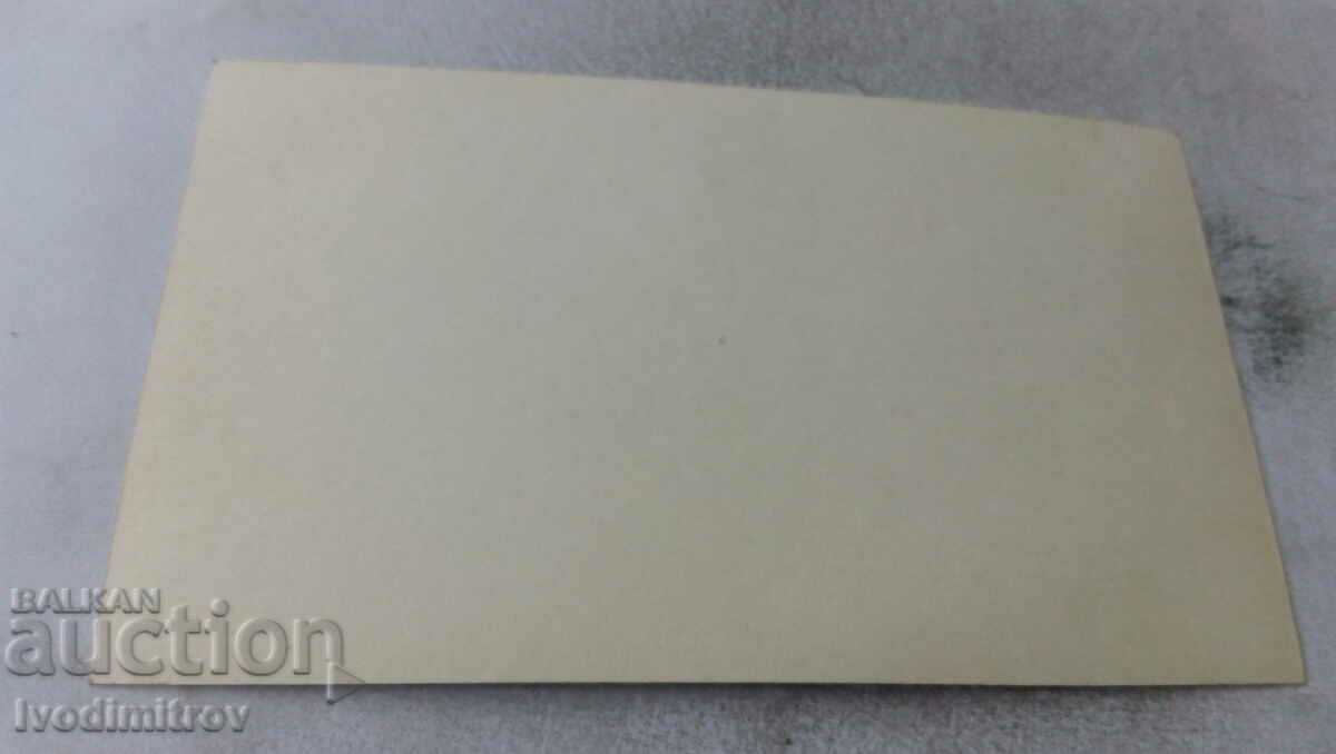 Φωτογραφία Νεαρό κορίτσι που παίζει κιθάρα με τιμή 1.15 BGN | € 0.59 Φωτογραφία Νεαρό κορίτσι που παίζει κιθάρα με τιμή 1.15 BGN | € 0.59