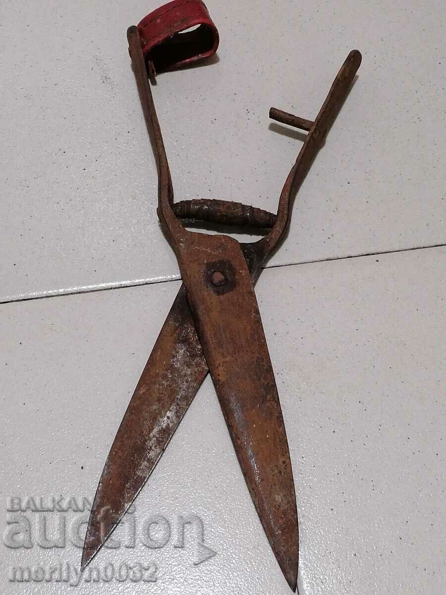 Auction Old wrought iron scissors, knife, wrought iron scissors Auction Old wrought iron scissors, knife, wrought iron scissors